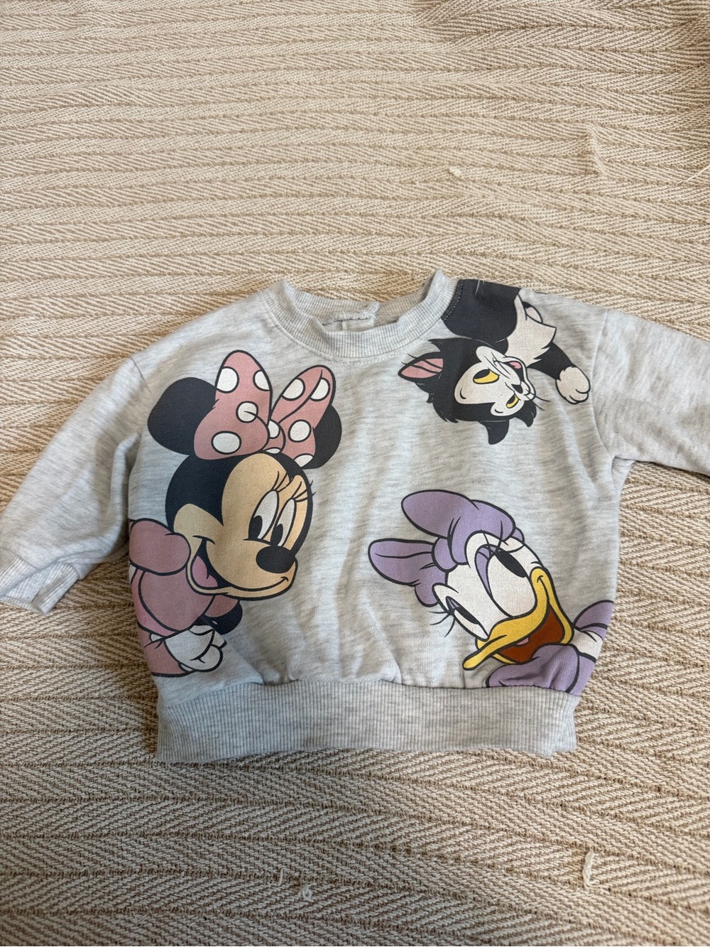 Disney Grey Minnie & Daisy Graphic Sweatshirt with Pink Bow